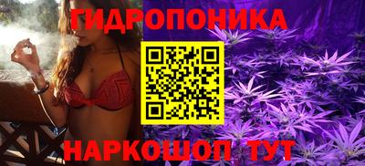 прущие грибы Балашиха