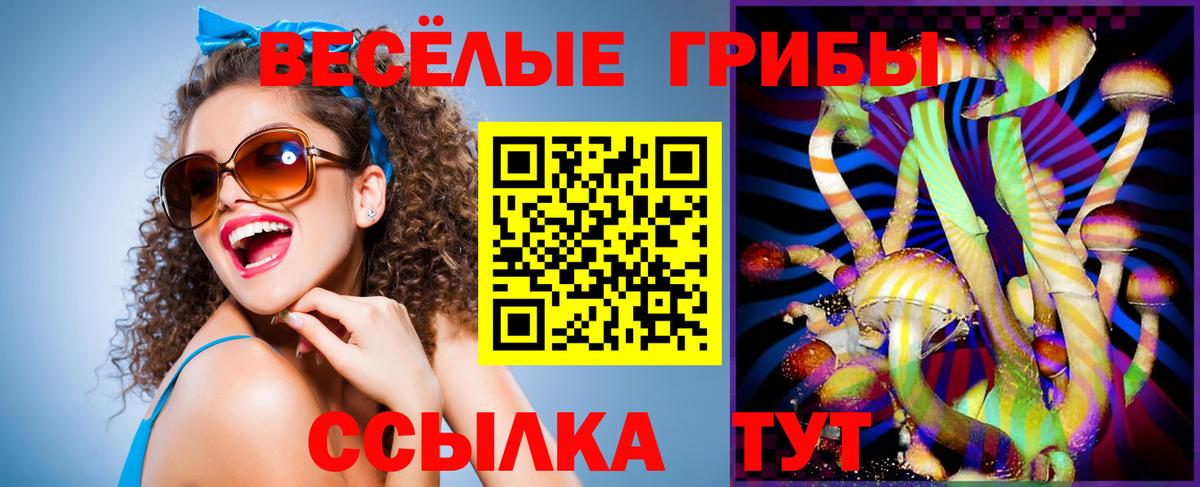 Псилоцибиновые грибы ЛСД Дедовск